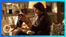 Mati di Film John Wick, Anjing Ini Sekarang Diberi Nama Wick oleh Keluarga Barunya - TomoNews