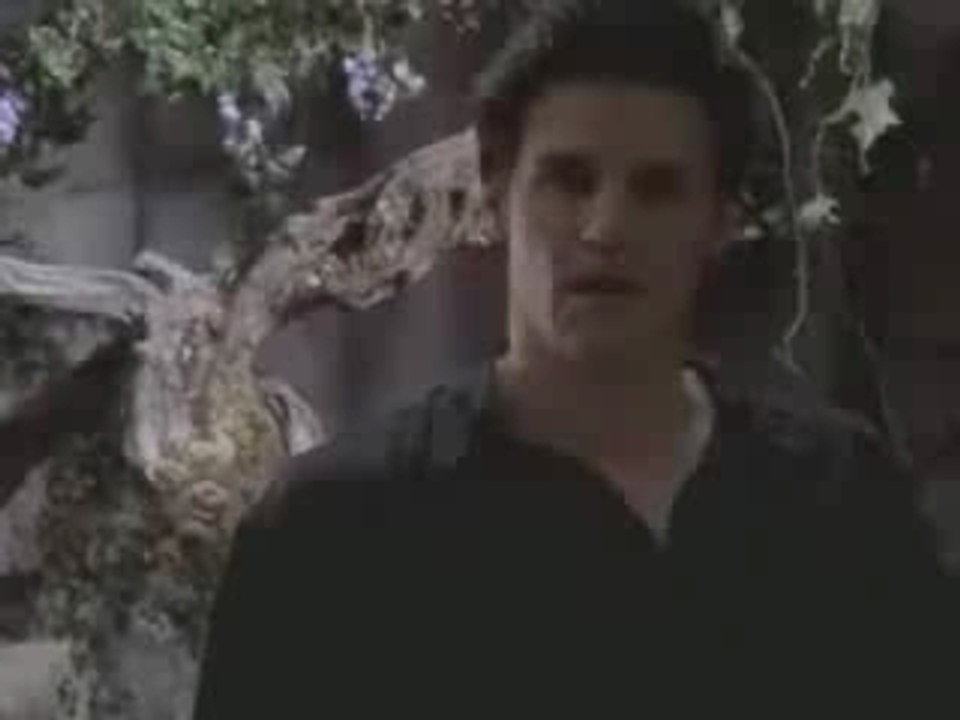 Buffy & Angel