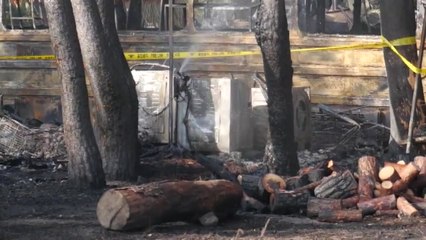 울진군 캠핑장 화재...이용객 7명 긴급대피 / YTN