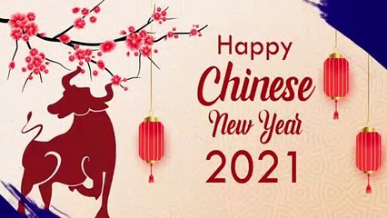 Chinese New Year 2021 Greetings For Family: Wish 'Kung Hei Fat Choi'  To Celebrate the Year of the Ox