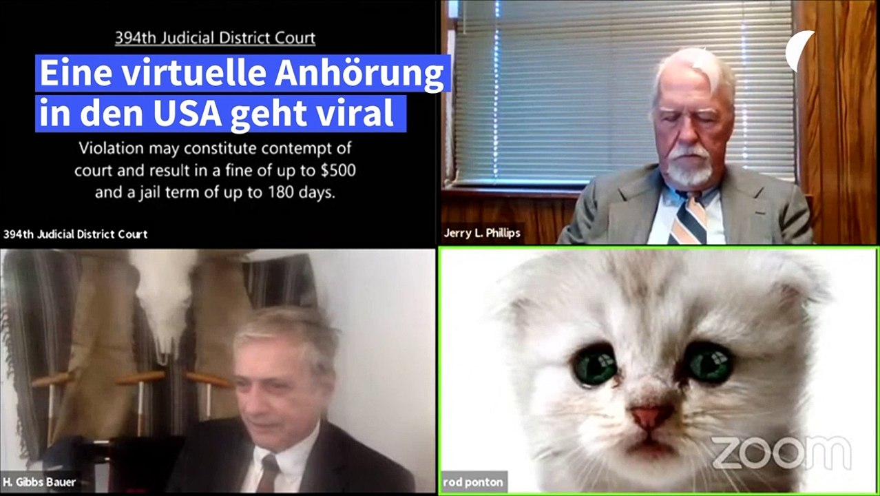 'Ich bin keine Katze': Anwalt hadert mit Zoom-Videofilter