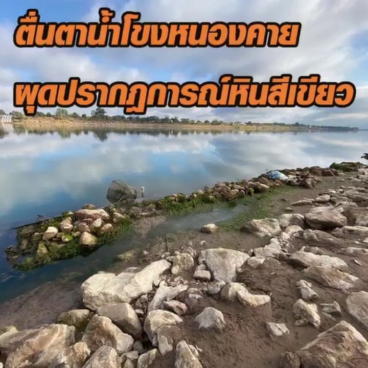ตื่นตาน้ำโขงหนองคาย ผุดปรากฎการณ์หินสีเขียว