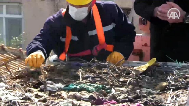 ‘Leylek Köyü’nde göçten dönecek leylekler için hazırlıklar başladı