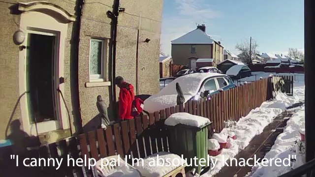 Postman declines to help 72-years-old woman who has fallen in the snow