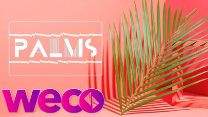 Kamran Memmedov - Palms (Audio Video)