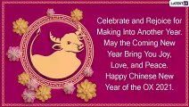 Year of The Ox 2021 Wishes and Messages: Meaningful Greetings to Ring in the Chinese New Year