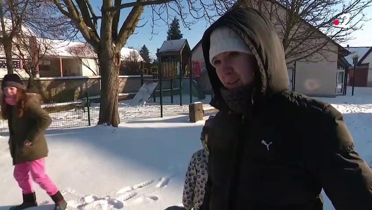 Vague de froid : l'Alsace s'organise face aux températures polaires