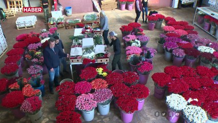 Video herunterladen: Çiçekçilerde yoğun mesai: 22 ülkeye 70 milyon dal çiçek gönderildi