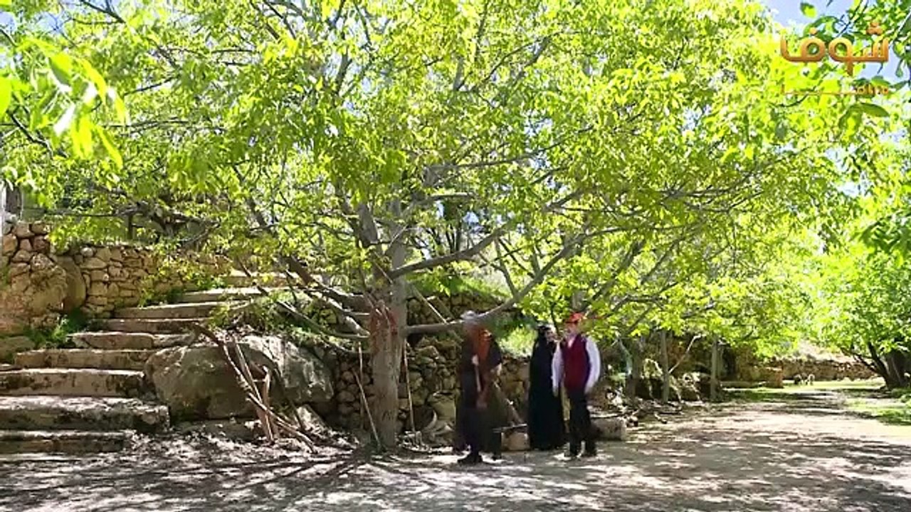 مسلسل طوق البنات الجزء الرابع الحلقة 22