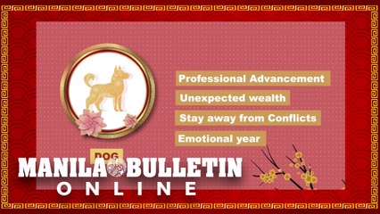 Chinese New Year 2021: Year of the Dog