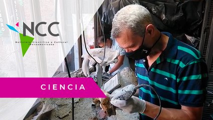 Un descubrimiento confirma los escritos de Darwin sobre una sequía en Argentina