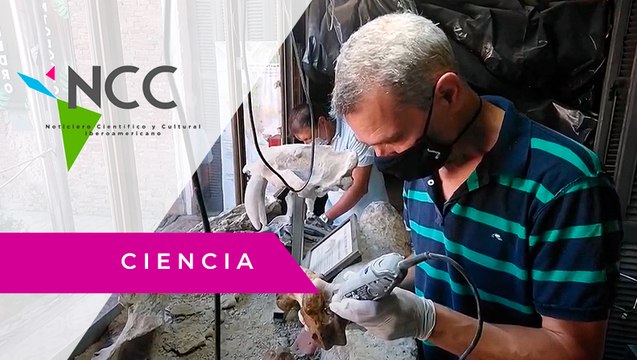 Un descubrimiento confirma los escritos de Darwin sobre una sequía en Argentina