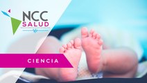 España busca crear una placenta artificial para salvar a bebés prematuros