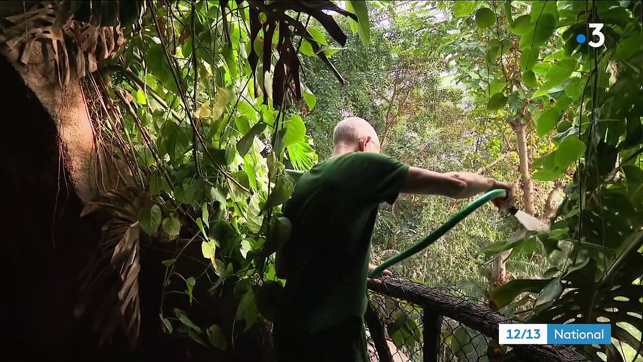 Paris : voyager et remonter le temps dans les grandes serres du Jardin des plantes