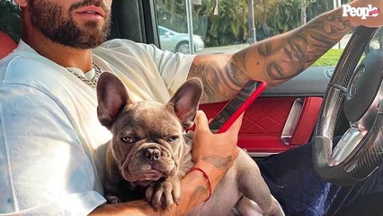 Las Mascotas más Consentidas de los Famosos