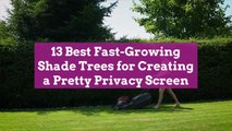 13 Best Fast-Growing Shade Trees for Creating a Pretty Privacy Screen