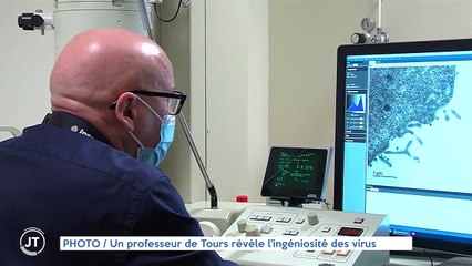 PHOTO / Un professeur de Tours révèle l'ingéniosité des virus