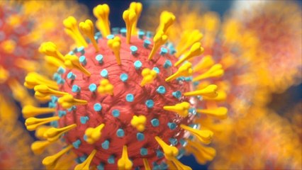 These are the Biggest Myths About COVID-19 Variants