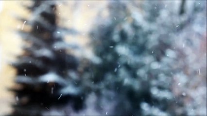 Snow Falling Down - Dr. Rajeev Rajendra