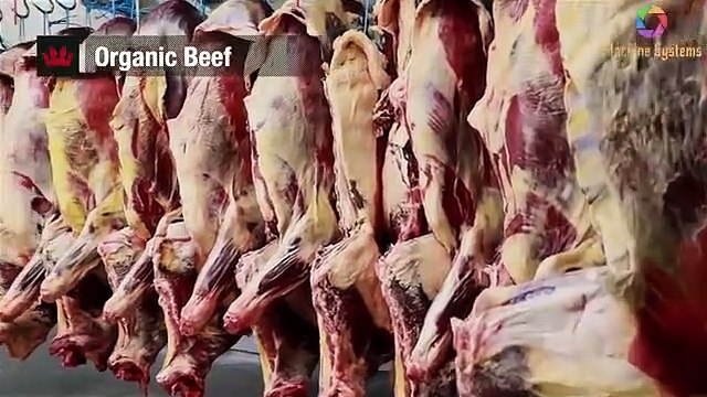 System Modern Cattle Processing Machinery, Amazing Food Production Technology Cow Leather Processing