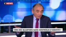 Eric Zemmour : «Il faut que la défenseure des droits fasse son mea culpa»