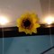 Época de Girassol - Quadro( Sunflower Season )  feat Post Malone, Swae Lee