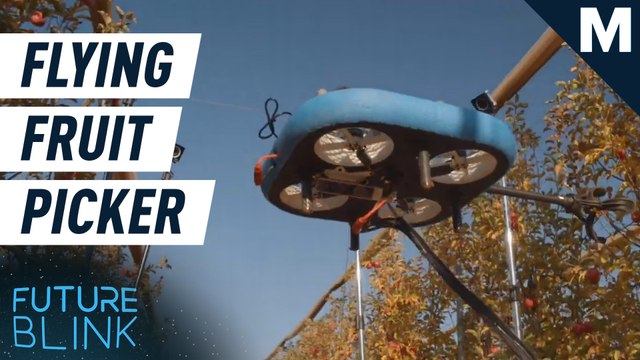 There's a flying autonomous robot that's better at picking fruit than you — Future Blink