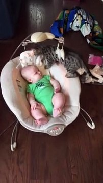 Bengal Kitten Snuggles up to Baby