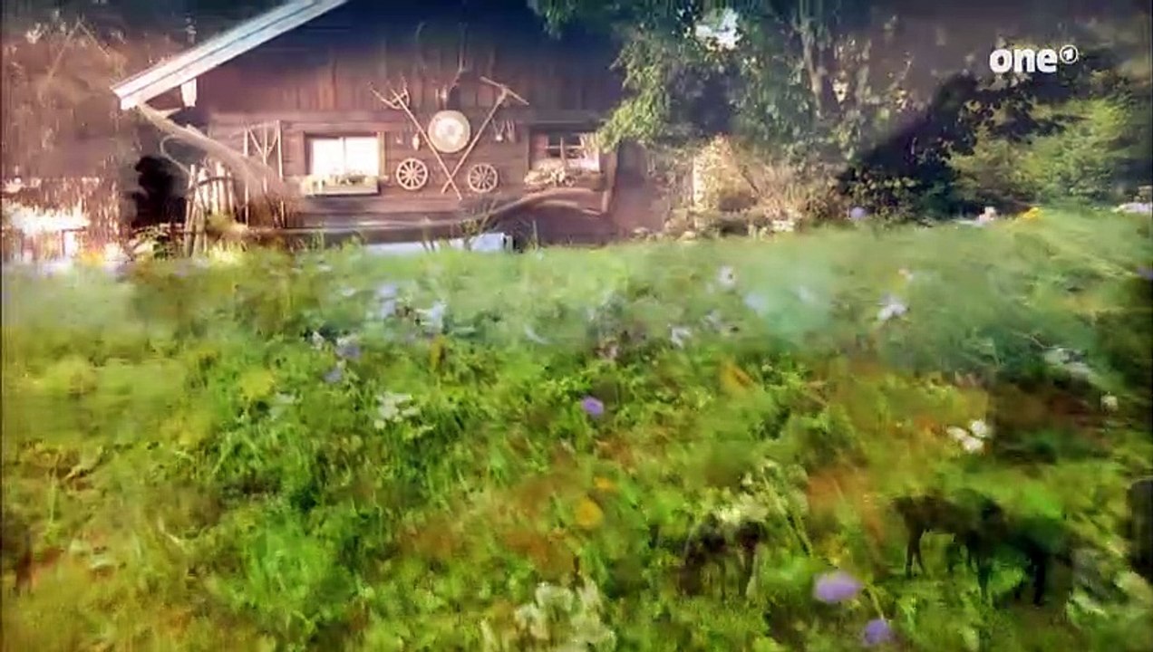 Julia und Niklas Folge 2245