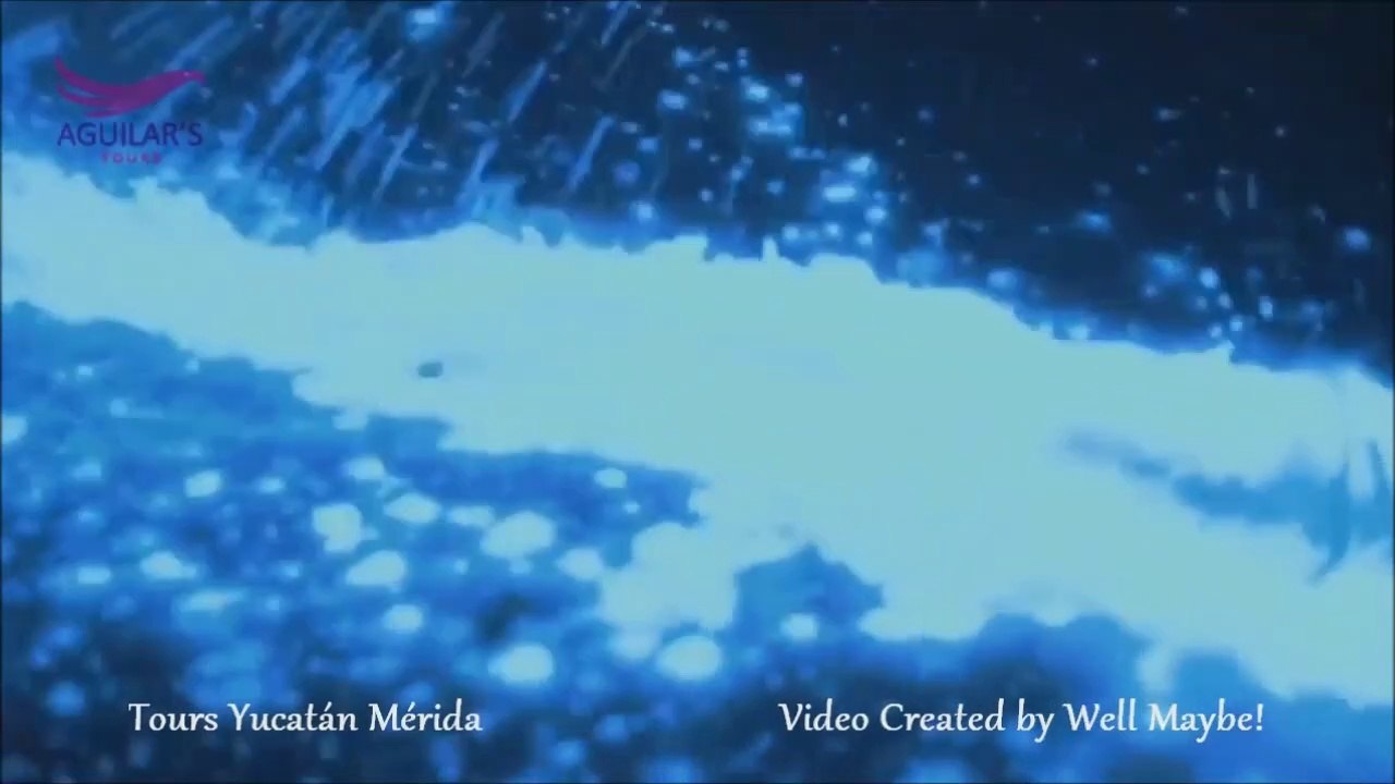 #BIOLUMINISCENCIA en #HOLBOX