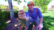 Aprende los Animales de la Granja para Niños con Blippi Español | Bingo de Búsqueda de Huevos