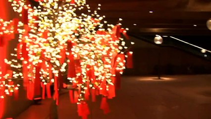 Celebrations to mark Year of the Ox underway in NSW