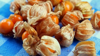 12 weird and curious fruit names