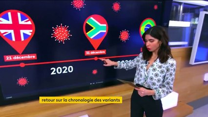 Covid-19 : "Il faut être extrêmement agressif dans la réponse faite au variant brésilien et sud-africain", conseille Arnaud Fontanet