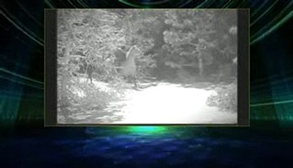 Wagon Train Sea 02 Epis 33 Chuck Wooster, Wagonmaster part 1/2