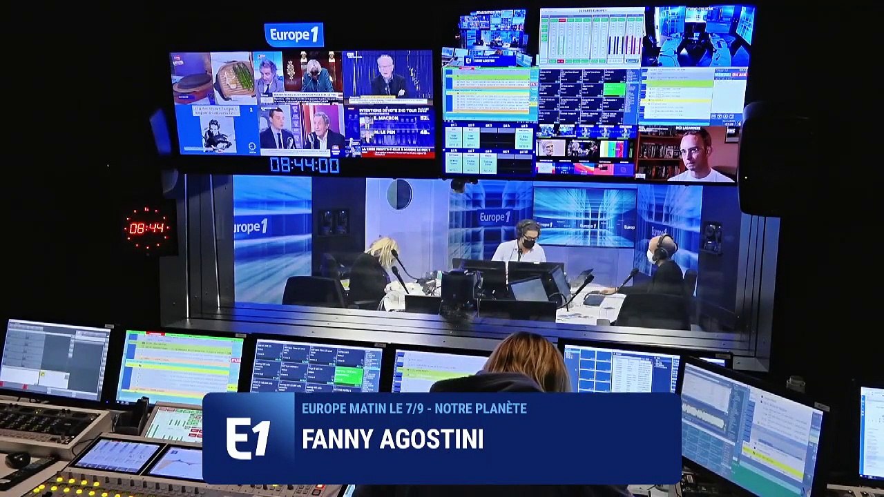 Le pizzly, un ours hybride apparu à cause du dérèglement climatique