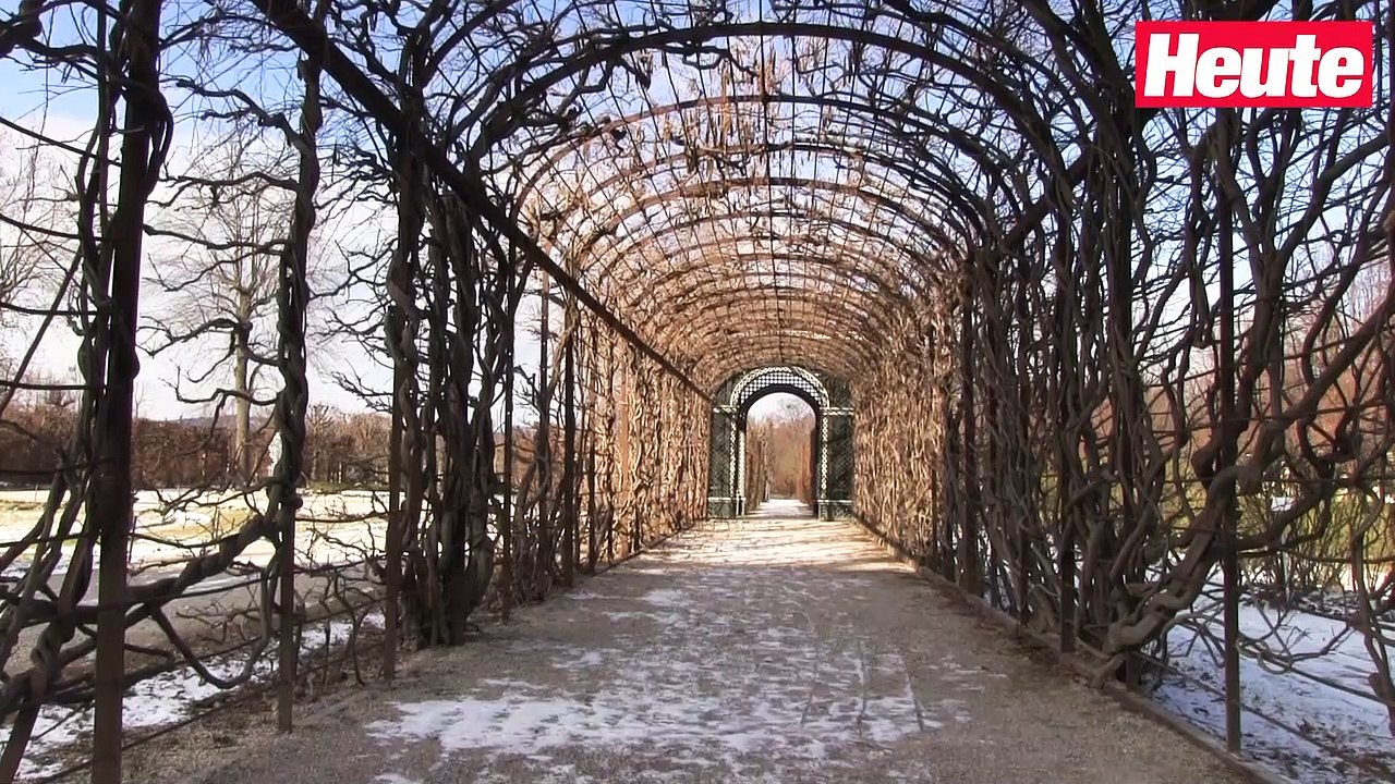Geisterschloss! So leer war Schönbrunn noch nie