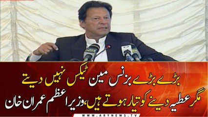 Big businessmen do not pay taxes but always ready to do charity - PM Imran
