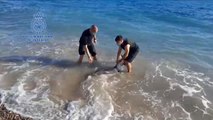 Rescatan un delfín que había quedado varado en una playa de Almería