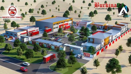 Bientôt des concentrés de tomate made in Burkina Faso