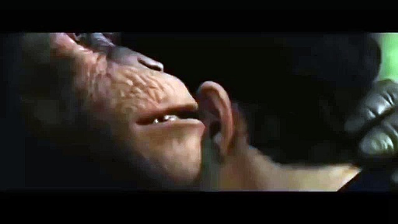 La propuesta