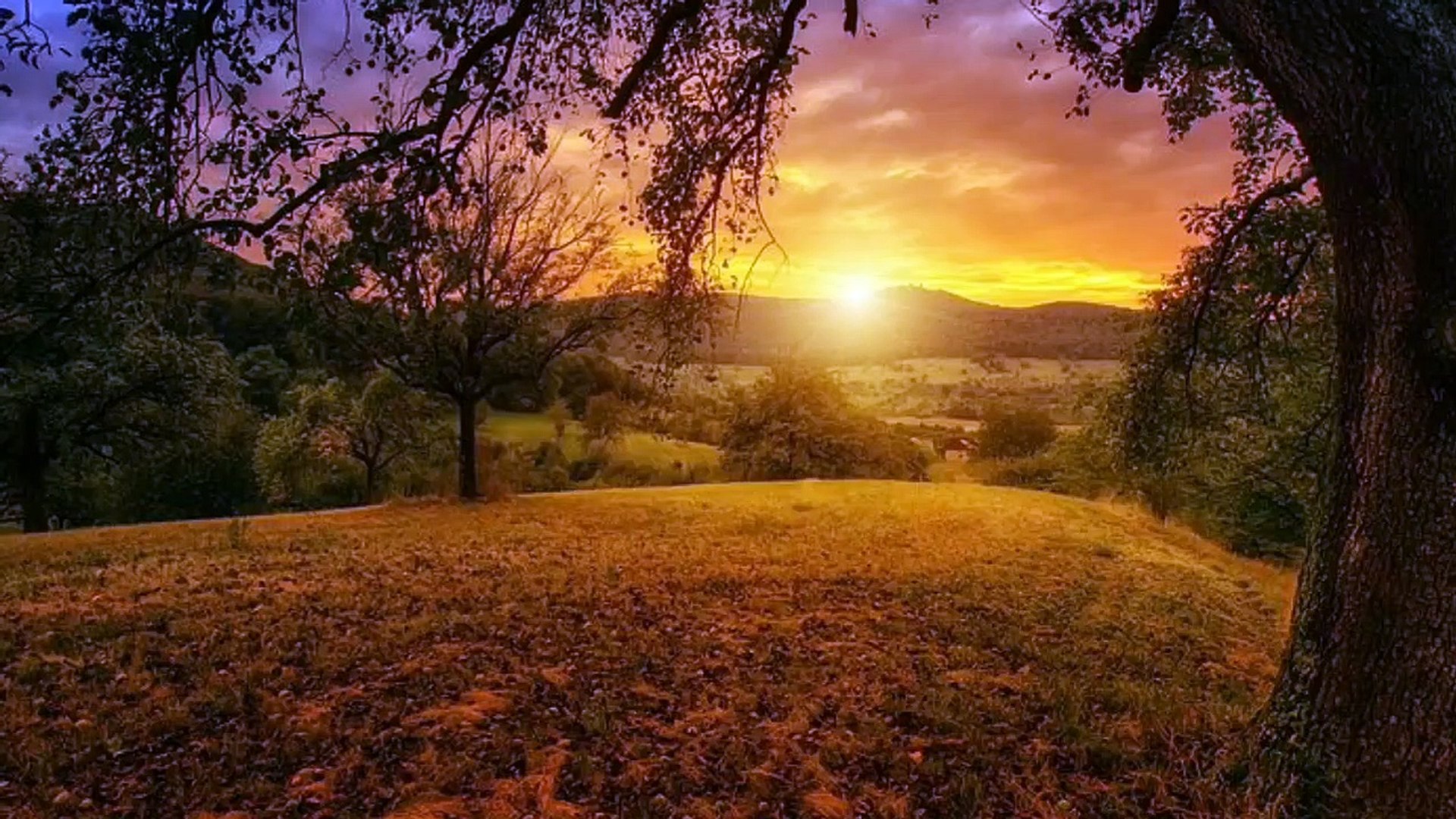 RELAXING MUSIC | MEDITATION MUSIC