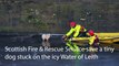 Scottish Fire & Rescue Service rescue a tiny dog on the icy Water of Leith