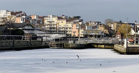 Les images impressionnantes de la Tamise qui a gelé pour la première fois en soixante ans