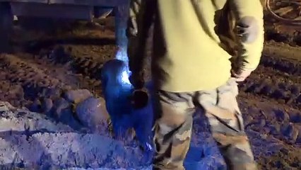 Vigilia canina frente a túnel de India con trabajadores desaparecidos