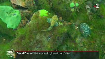 Sibérie : plongée enchantée dans les eaux du lac Baïkal