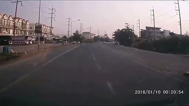 Dog Stops Traffic so Grandma Can Cross Road