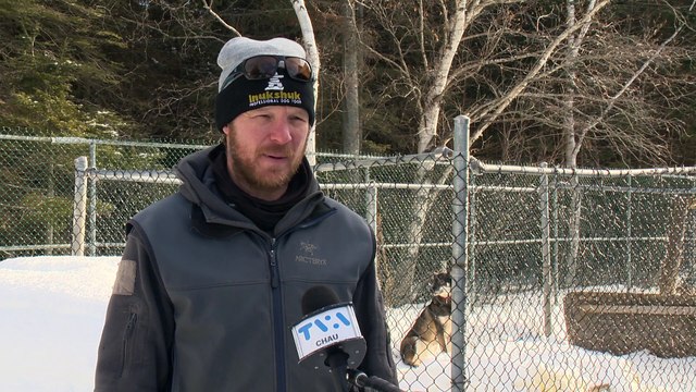 12 fev Topo LPM activite traineau a chiens