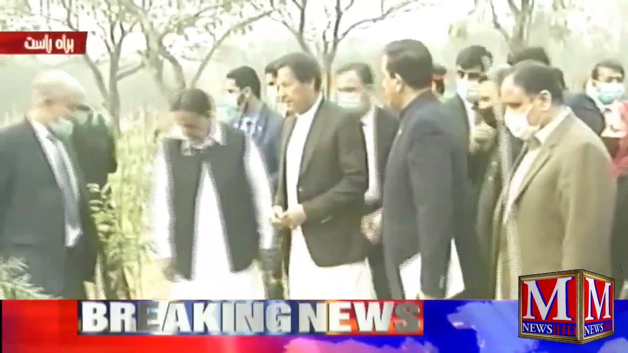PM Imran Khan Inaugurates Miyawaki Forest In Lahore Today | 12 - 02 - 2021 | M News HD | Lahore