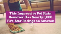 This Impressive Pet Stain Remover Has Nearly 3,000 Five-Star Ratings on Amazon